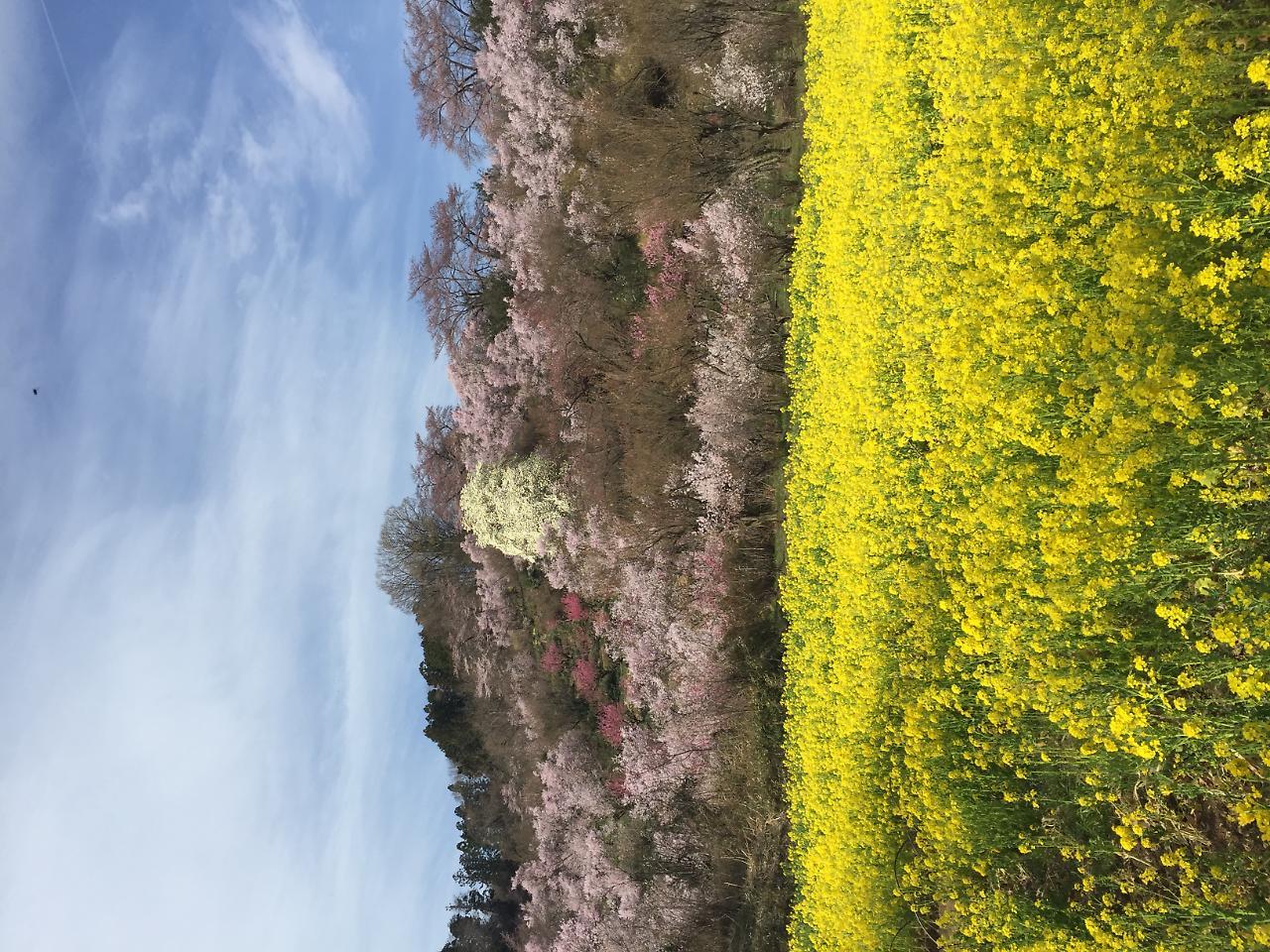 Hotel Sunroute Fukushima Exterior foto